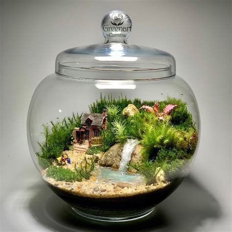 Pin Em Terrarium Em Ideias De Terr Rio Minijardins Terr Rio