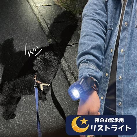 犬用散歩ライト 夜散歩用 腕ライト 明るい軽量懐中電灯 お散歩グッズ リストライト Usb充電式 220ルーメン 専用ケース付き 送料無料