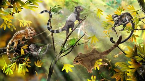 Scientists discover 3 new mammals that lived alongside dinosaurs ...