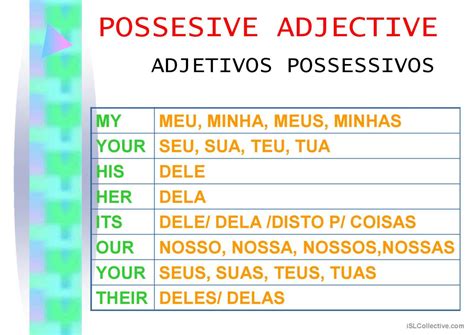 Possessive Adjectives Espa Ol Ele Powerpoints