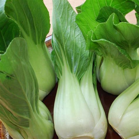 Cabbage Pak Choi White Stem Premier Seeds Direct