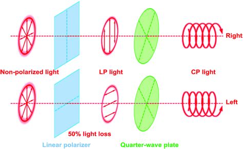 Circularly Polarized Light