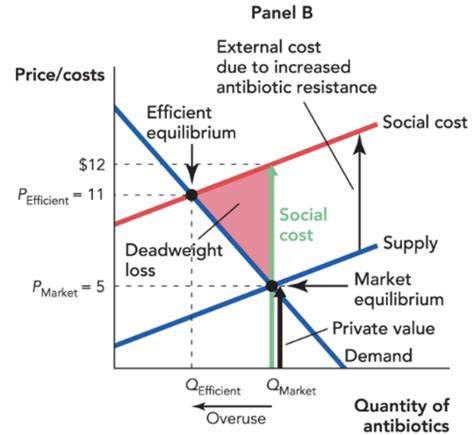 Econ 2110 Ch 10 Review Flashcards Quizlet