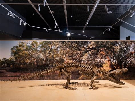 A Quinkana skeleton displayed at the Megafauna Central Museum in Alice Springs, Australia ...