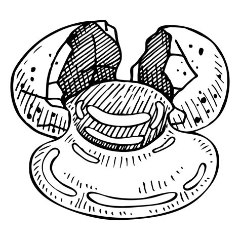 Premium Vector | Broken egg sketch egg white and yolk leak out of shell