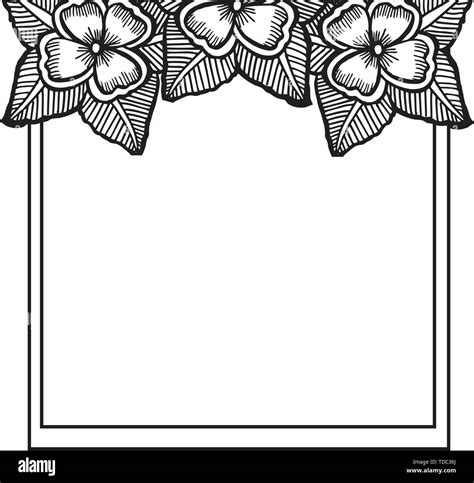 vector illustration drawing flower frame  ornate  wallpaper hand