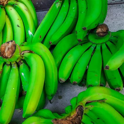 Bunch Of Green Bananas