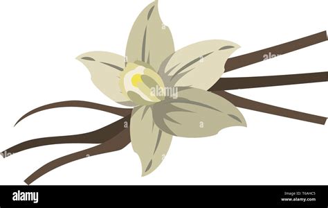 Flowers nature drawing isolated Stock Vector Image & Art - Alamy