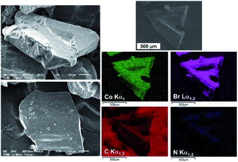 Sem Images Of Large C 3 H 7 4 N 2 Cobr 4 Crystals Grown By Slow