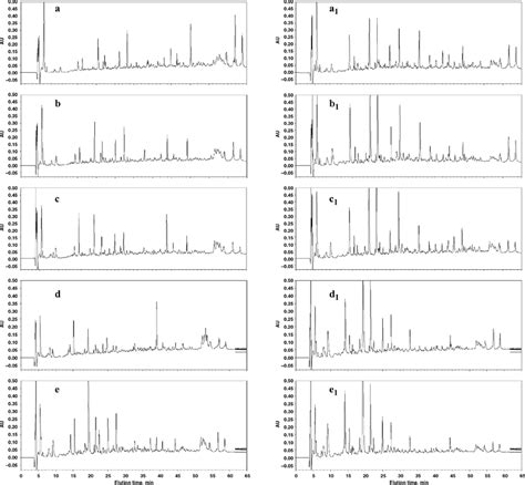 Reversed Phase Hplc Chromatograms Of The Ethanol Soluble N Esn