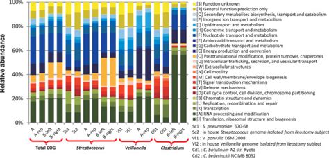 Distribution Of COG Functional Categories For Datasets A And B Total