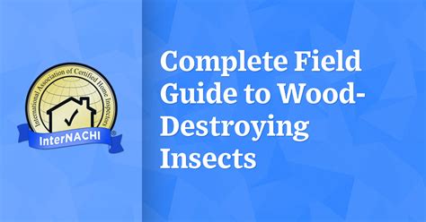 Complete Field Guide To Wood Destroying Insects Internachi