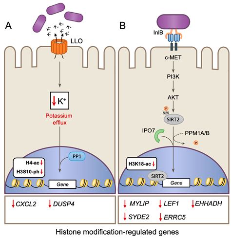 Toxins Free Full Text Pathogenic Biohacking Induction Modulation