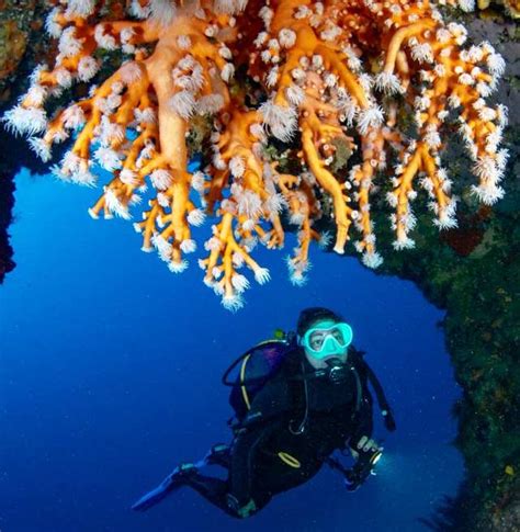 About Our Ssi Dive Centre In Lanzarote Manta Diving Lanzarote