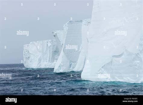wall faces  floating tabular icebergs  antarctica stock photo alamy