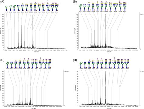 Serum N‐glycome Evolution Of The Mpi‐cdg Patient Pregnancy Maldi‐tof