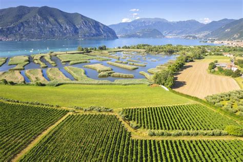 Le strade del vino in Lombardia gli itinerari più belli fra i vigneti