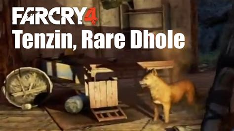 Far Cry 4 Kyrat Fashion Week Tenzin Rare Dhole YouTube