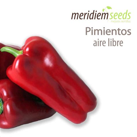 Catalogo De Pimiento Aire Libre Meridiem Seeds By Meridiem Seeds Issuu