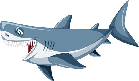 Aggressive great white shark cartoon 13500150 Vector Art at Vecteezy