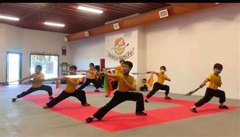 Shaolin Kung Fu Training Exercises