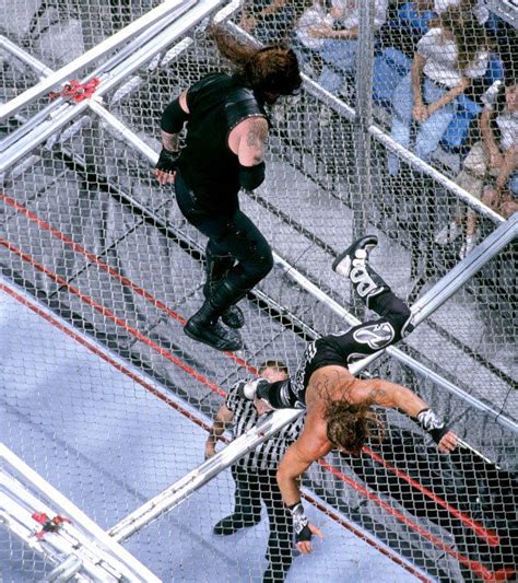 Undertaker Vs Shawn Michaels Hell In A Cell