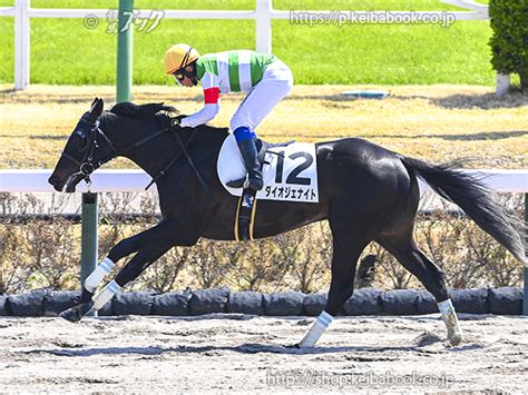 競馬ブックネットshop カラープリントアルミ枠付き2024年3月31日中山3r 3歳未勝利ダイオジェナイト