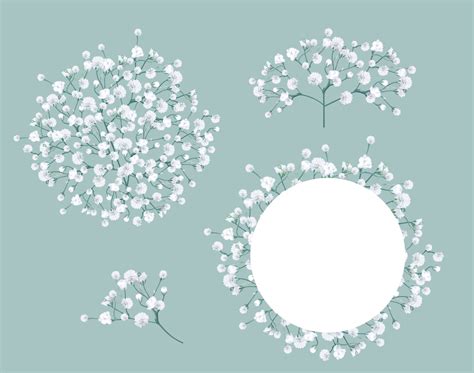 Baby S Breath Gypsophila Floral Clipart PNG Commercial License Etsy