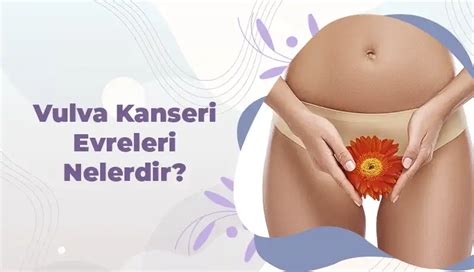 Ekol Kad N Do Um Vulva Kanseri Evreleri Nelerdir