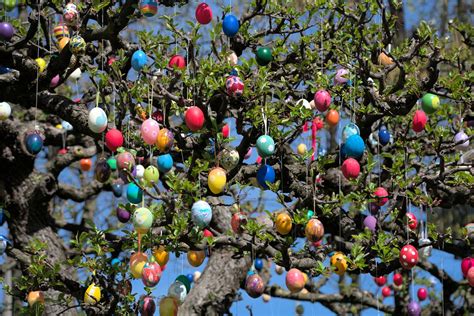 Osterbaum Eier Ostern Kostenloses Foto Auf Pixabay Pixabay