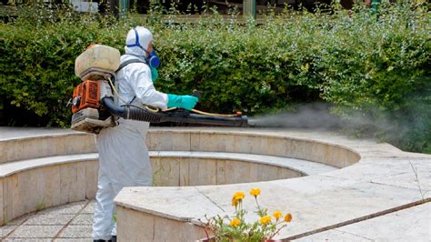 Continúa la fumigación en Berazategui Municipalidad de Berazategui