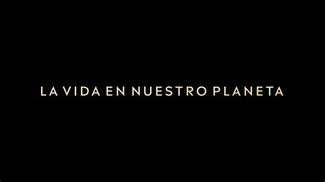 La Vida En Nuestro Planeta Estrena En Netflix El De Octubre Tvnotiblog