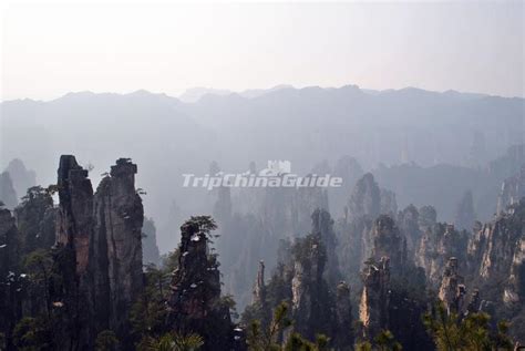 Zhangjiajie Forest China - Zhangjiajie National Forest Park Pictures ...