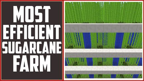 Automatic Sugarcane Farm Schematic