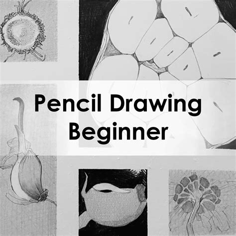 pencil drawing beginner green apple art center