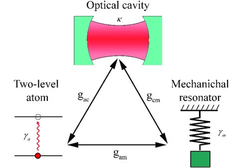 A Tripartite Hybrid System A Single Mode E M Cavity A Two Level Atom