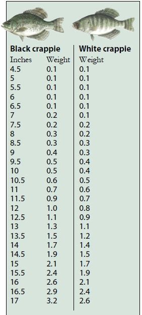 Estimating weight of fish