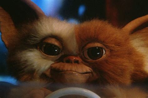 Gremlins - Holiday Horror At Its Finest | RetroZap