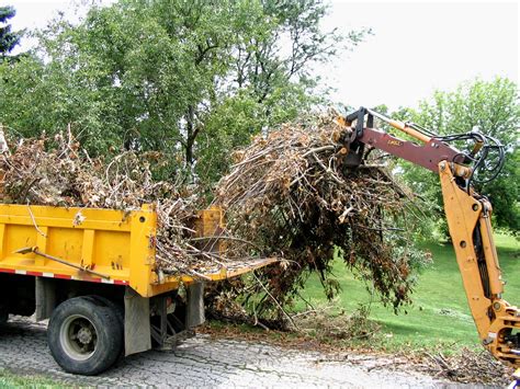 Brush Pickup | Muscatine, IA - Official Website
