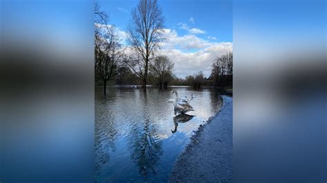 Nach Hochwasser In Braunschweig Anträge Auf Soforthilfe