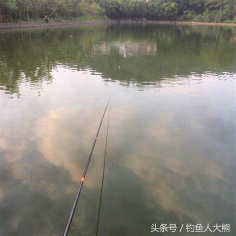 春季野釣，魚餌配得再好也不如釣點找得好！分享5個魚多的釣點！ 每日頭條