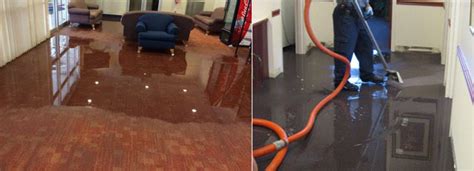 Flood Water Damage Restoration In Sydney Skilled Cleaners