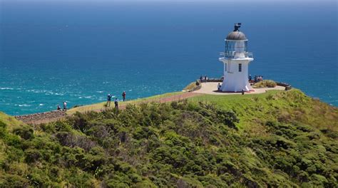 Cape Reinga Lighthouse Tours - Book Now | Expedia