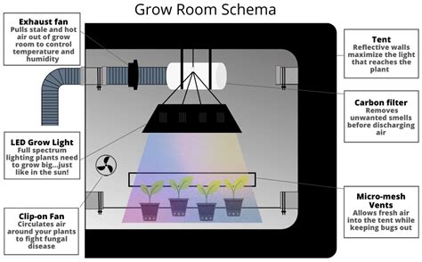 Closet Ventilation System For Grow Room | Dandk Organizer