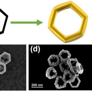 Af Sem Images Of Pt Au Nanoplates With L A L B L C