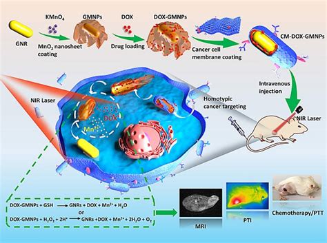 Cell Membrane Coated Smart Two Dimensional Supraparticle For In Vivo