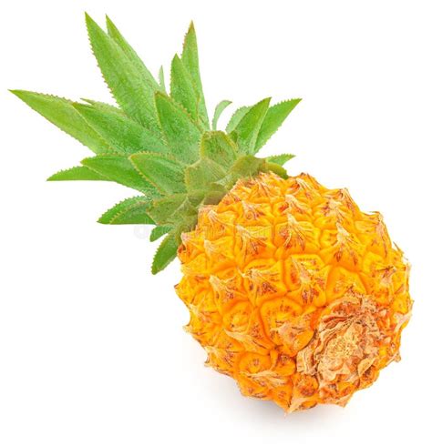 Pineapple Isolated On A White Background Whole Pineapple Closeup Stock Image Image Of Isolate