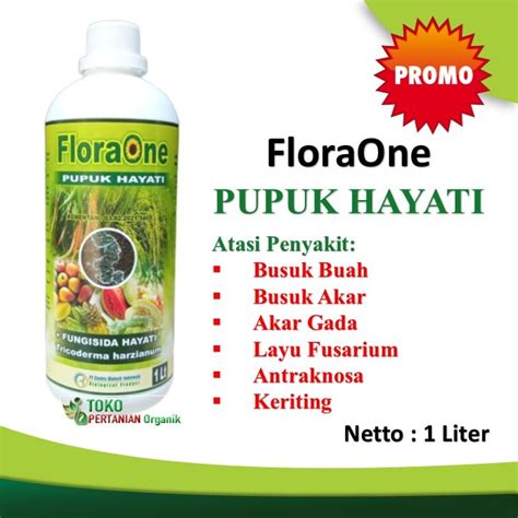 Jual Pupuk Hayati Floraone Cair Penyakit Busuk Buah Cabe Fungisida