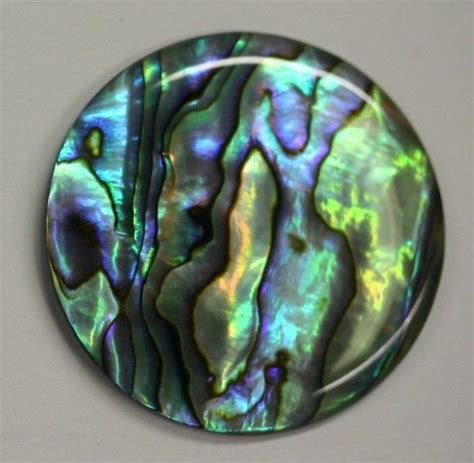 Natural Abalone Paua Shell Round Cabochon Calibrated 16mm 18mm Etsy