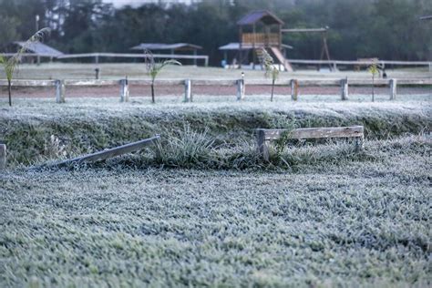 Após recorde de frio temperatura sobe e Paraná volta a ter veranicos